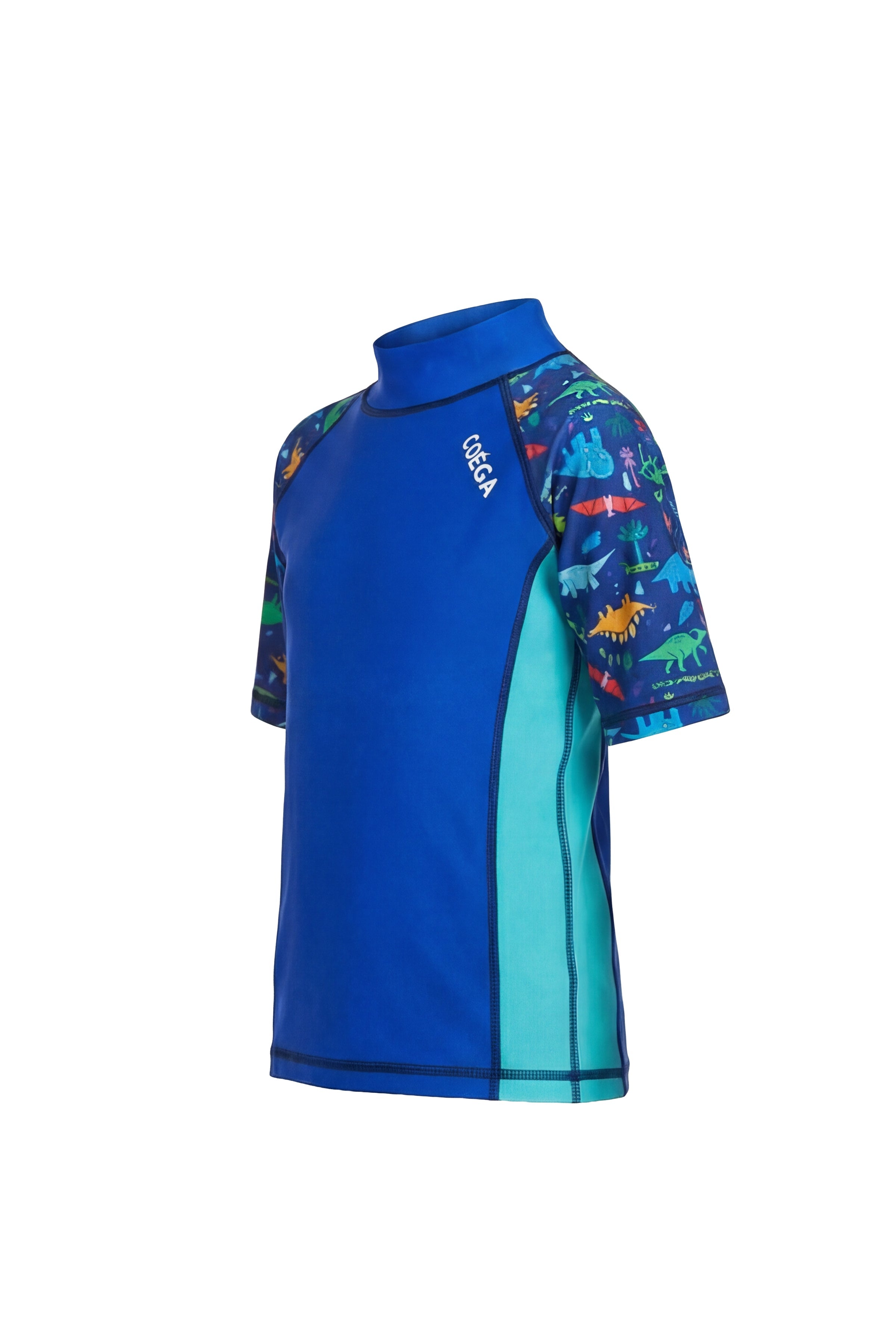 Boys Dinosaur Short Sleeve Rashguard