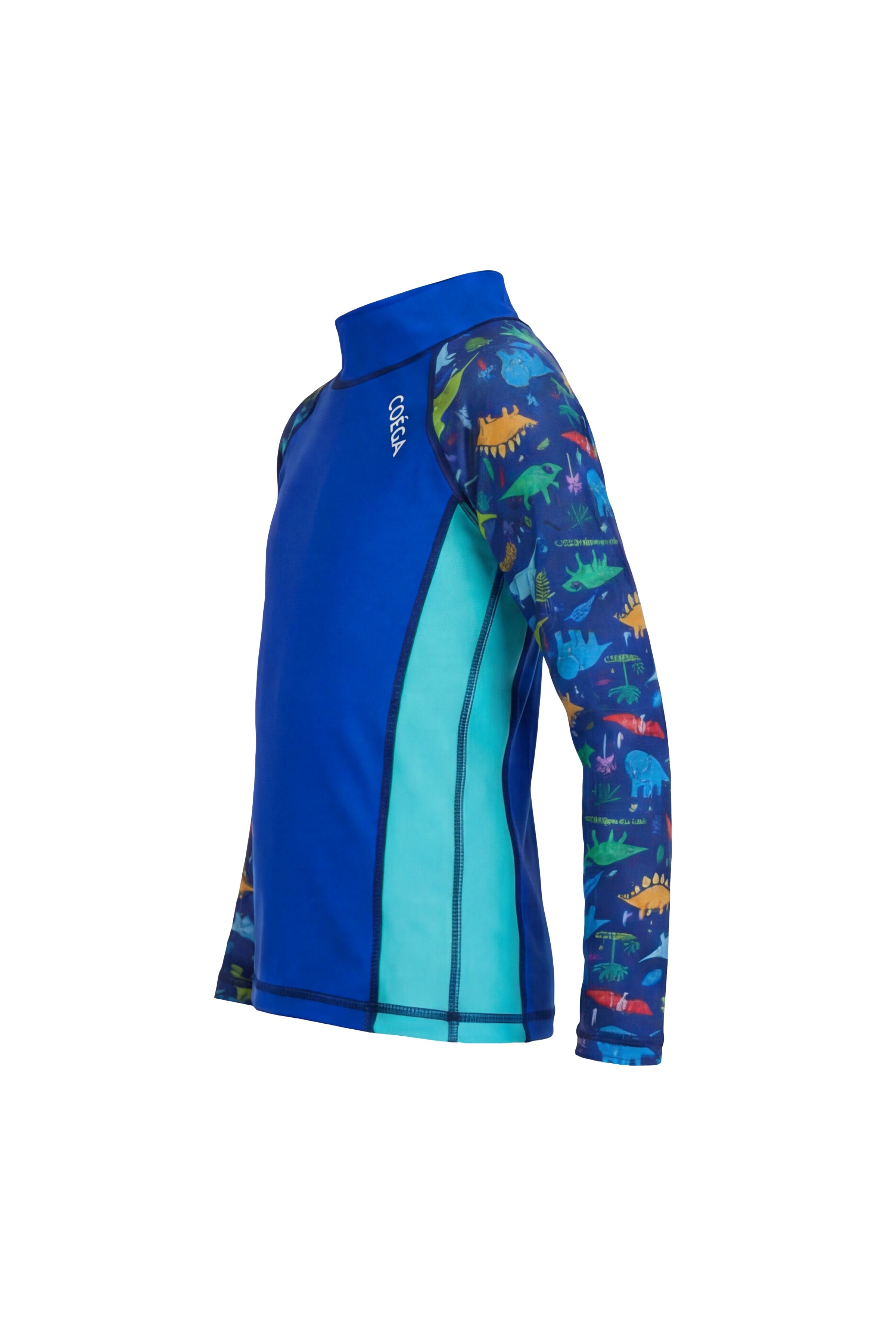 Boys Dinosaur Long Sleeve Rashguard