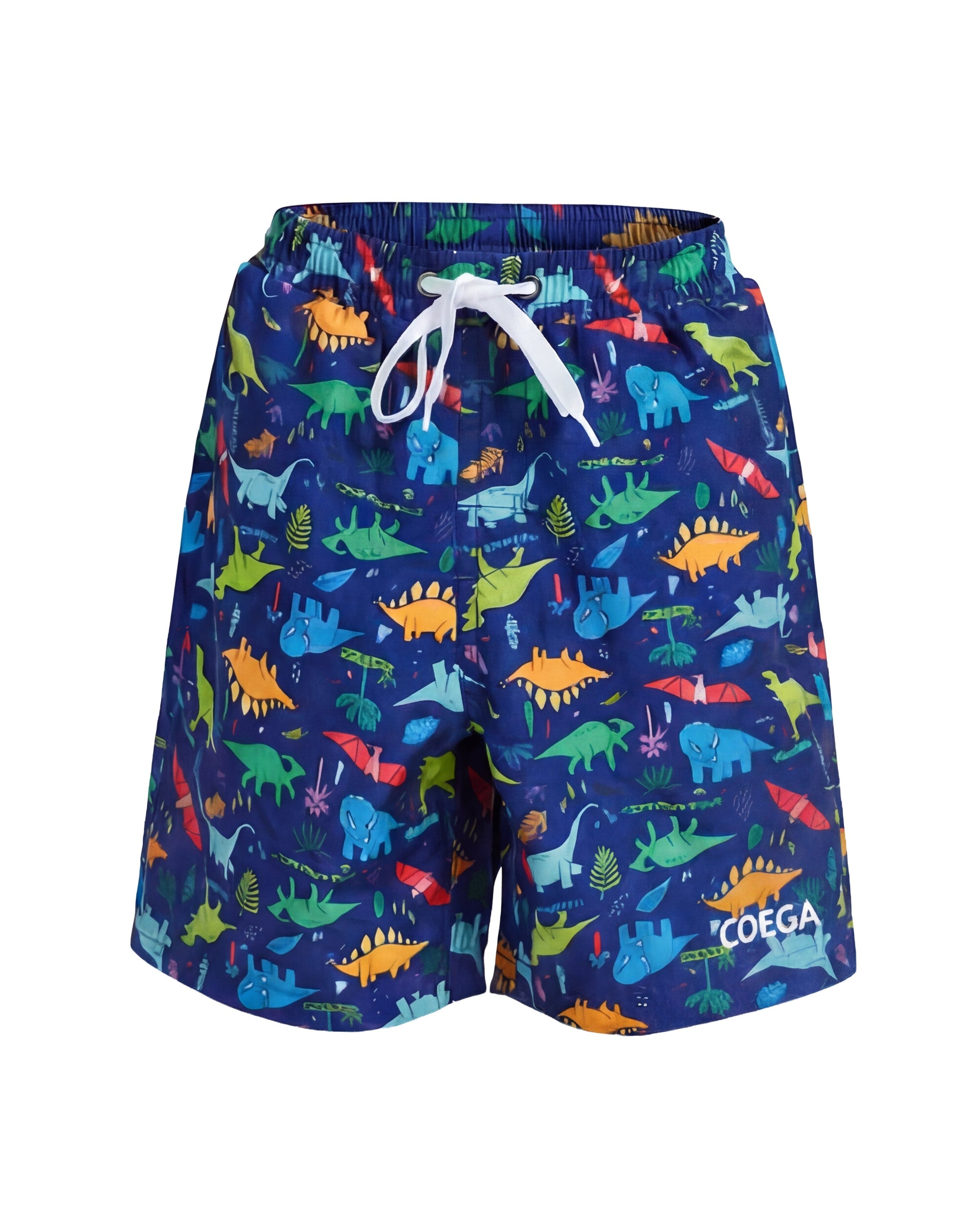 Boys Dinosaur Watershorts