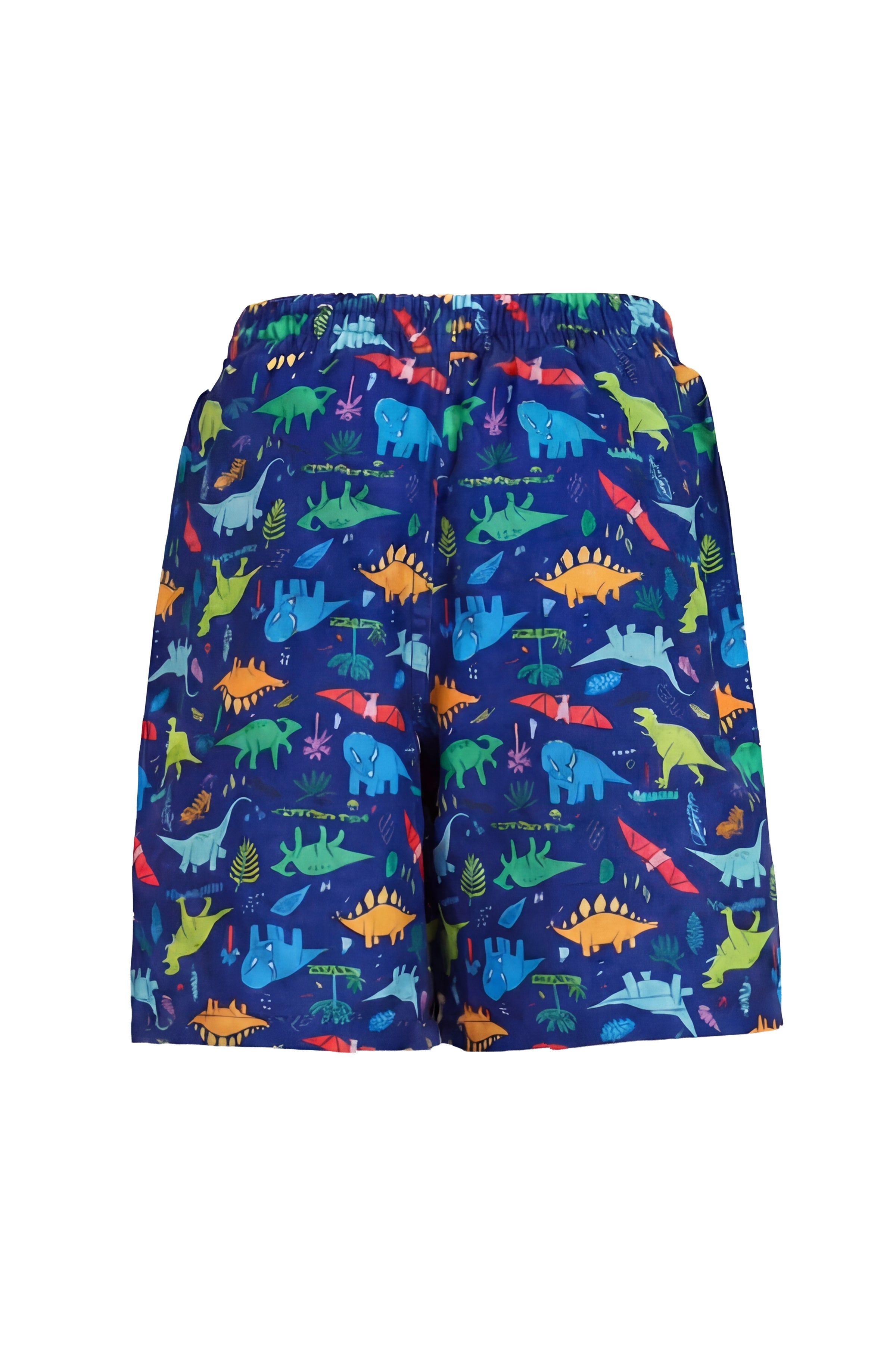 Boys Dinosaur Watershorts