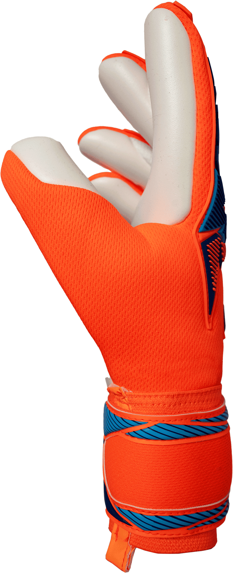 Senior Attrakt Freegel Advance Goalkeeper Gloves