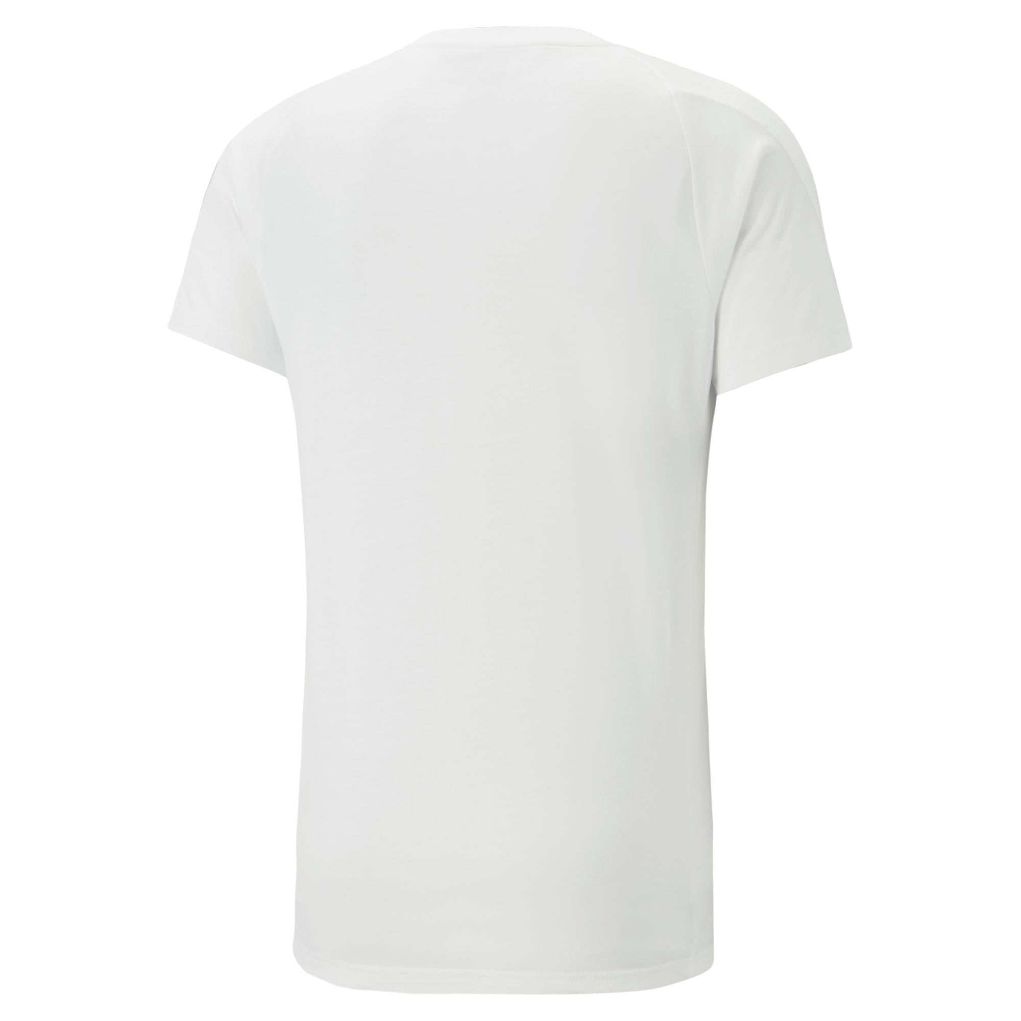 Mens Evostripe Short Sleeve T-Shirt