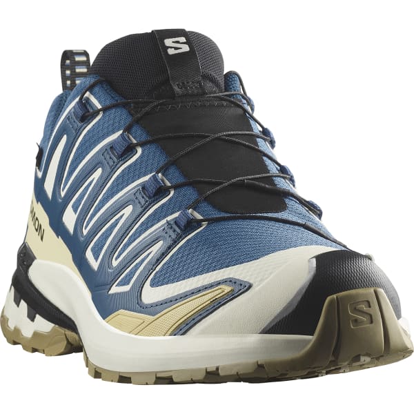 Mens XA Pro 3D V9 GTX Trail Running Shoe