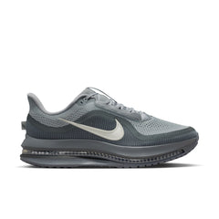 Mens Pegasus Premium Running Shoe