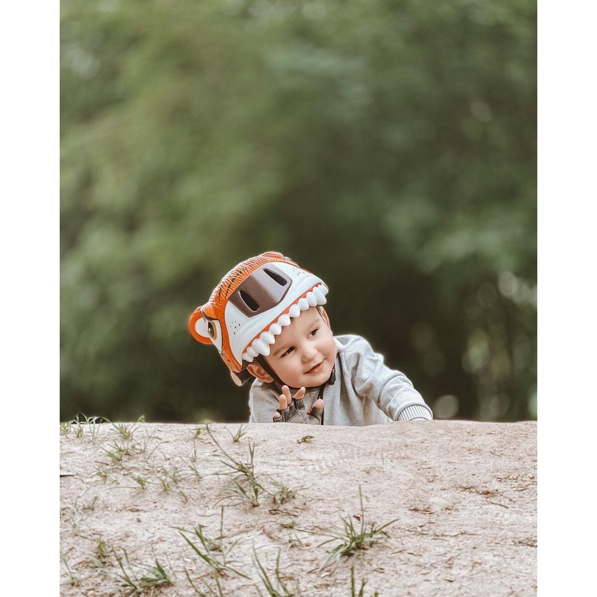 Tiger Bicycle Kids Helmet