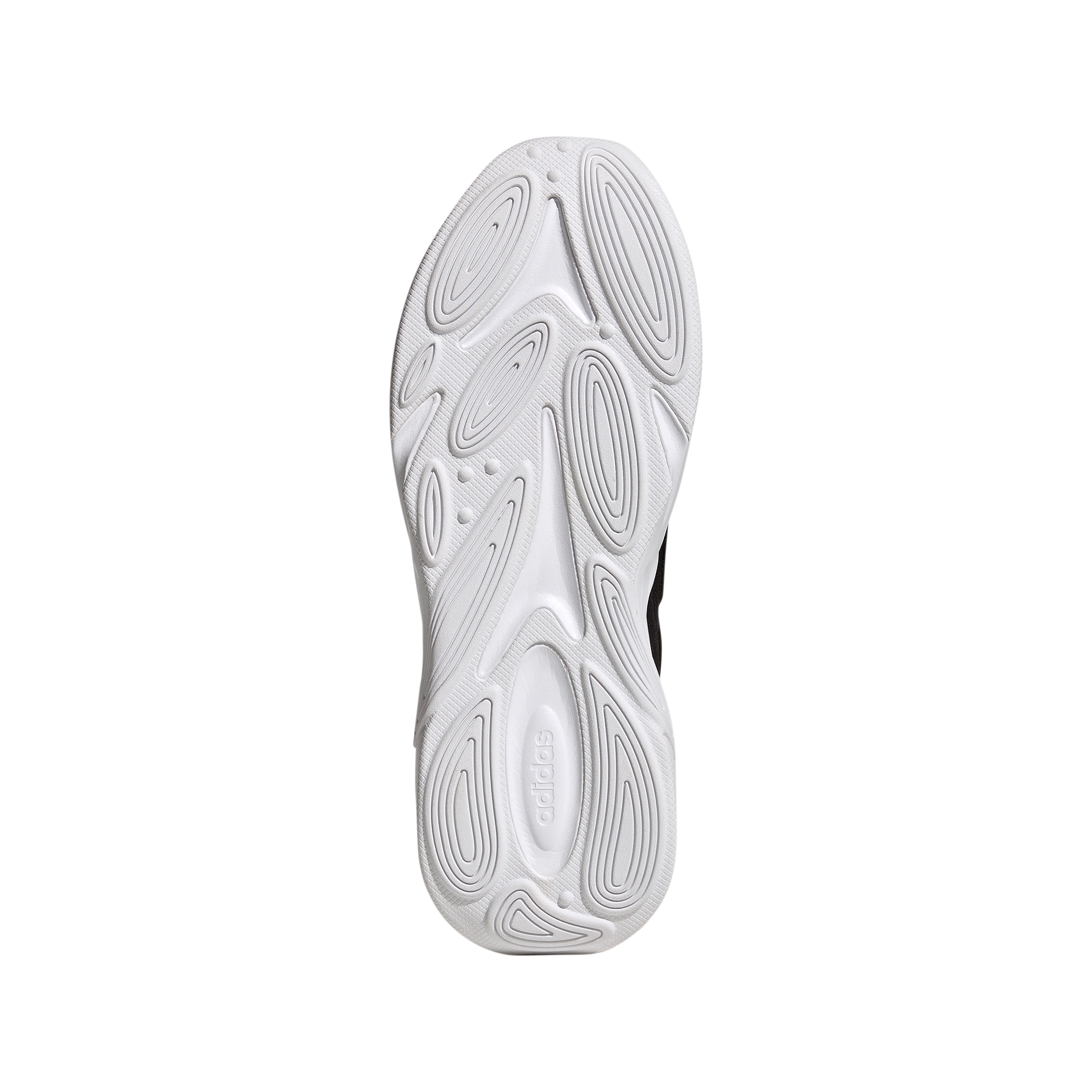 Womens Ozelle Shoes