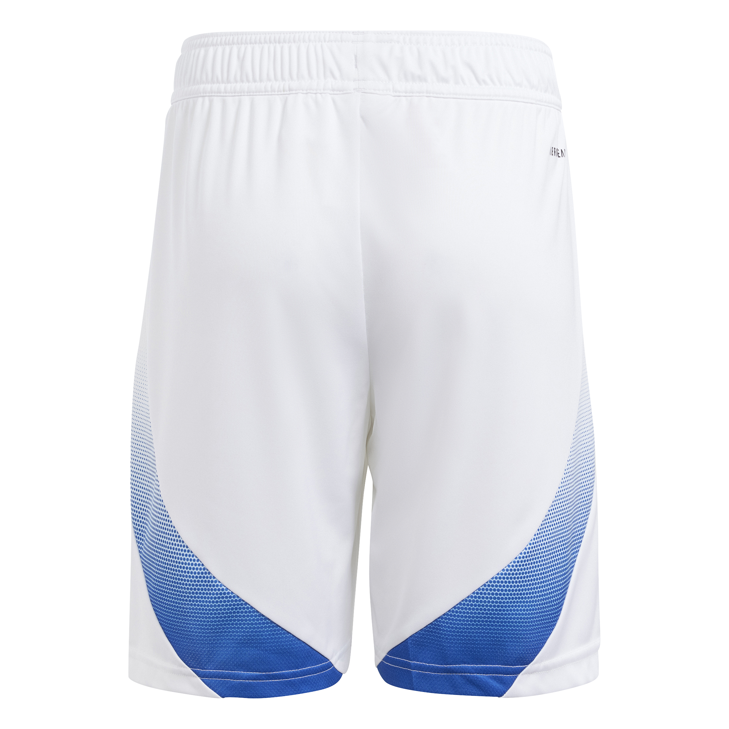 Junior Italy FIGC Home 24/25 Replica Shorts