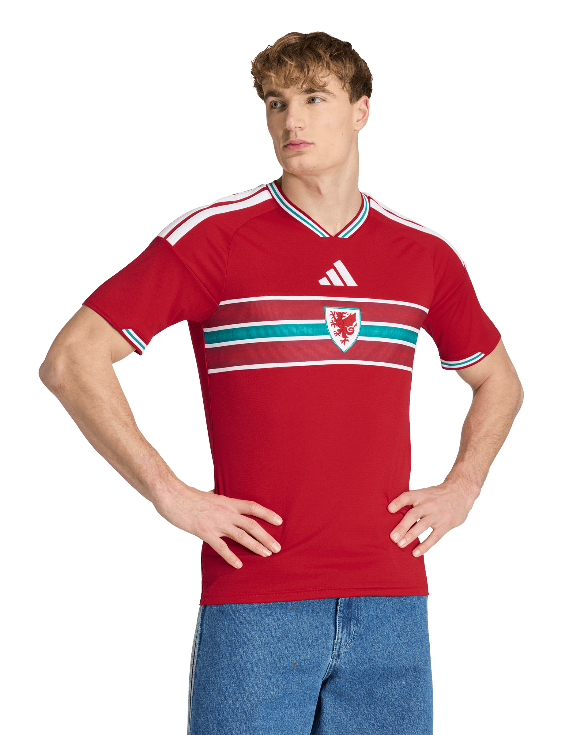 Mens Wales FAW Home 25/26 Replica Jersey