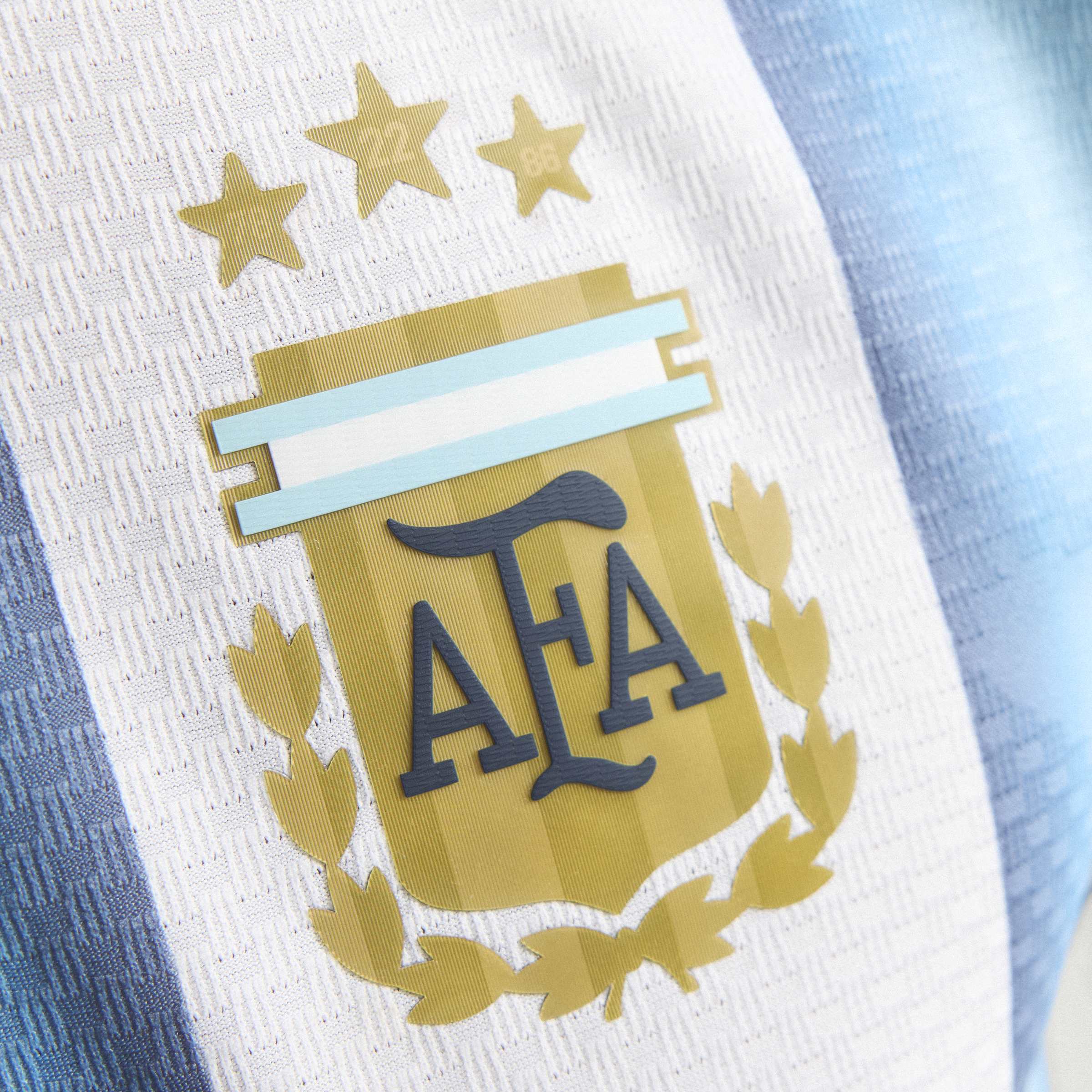 Mens Argentina AFA Home 25/26 Authentic Home Jersey