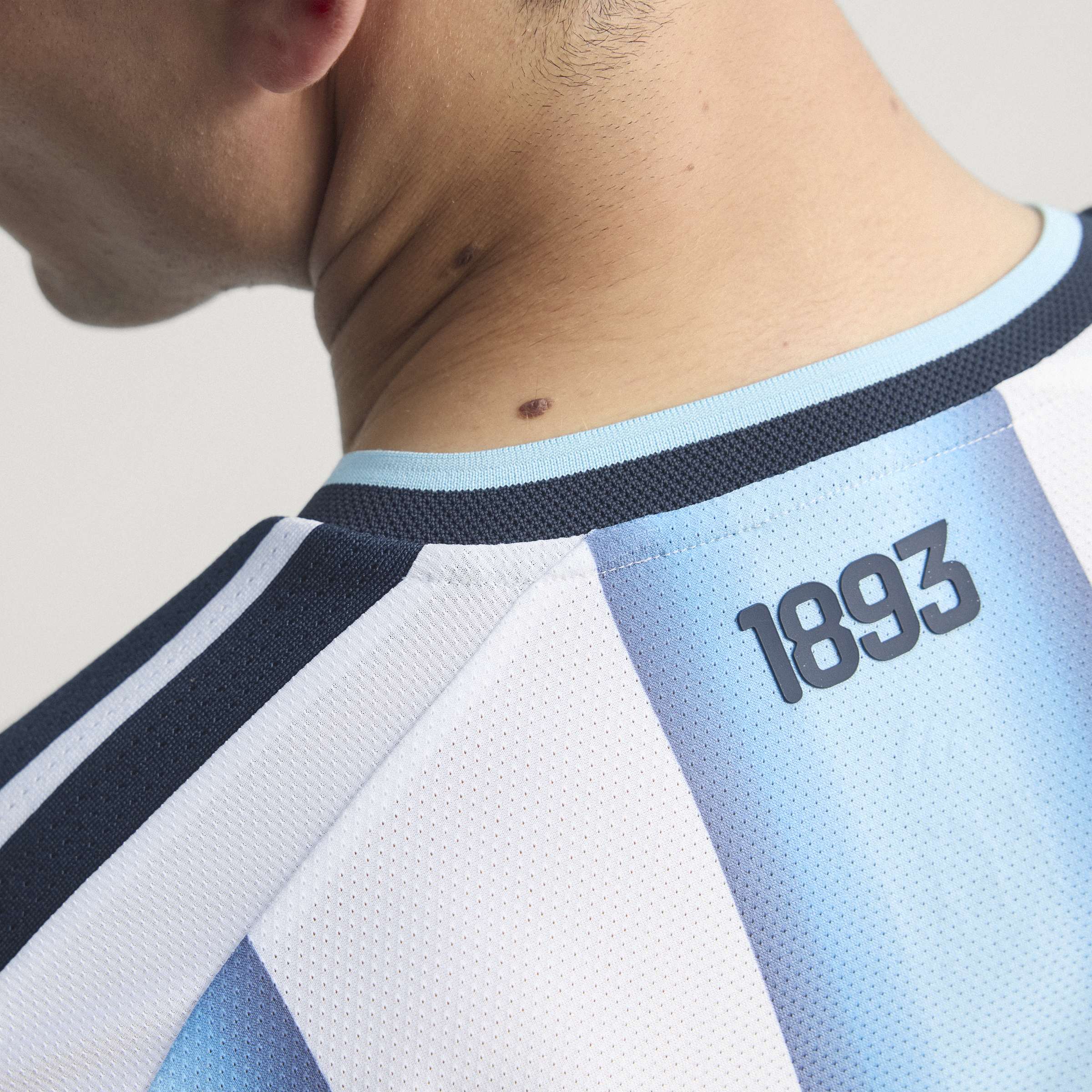 Mens Argentina AFA Home 25/26 Authentic Home Jersey