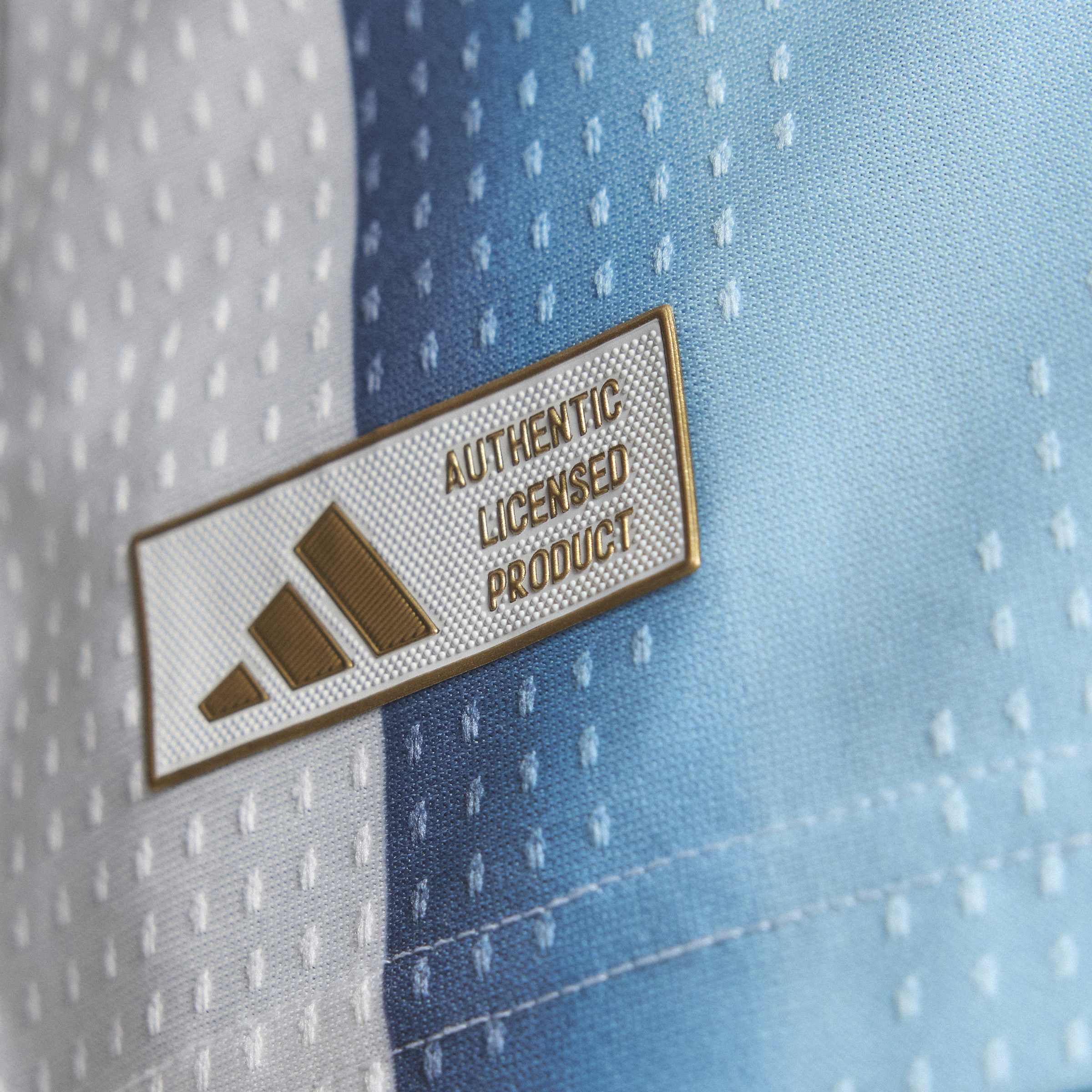 Mens Argentina AFA Home 25/26 Authentic Home Jersey