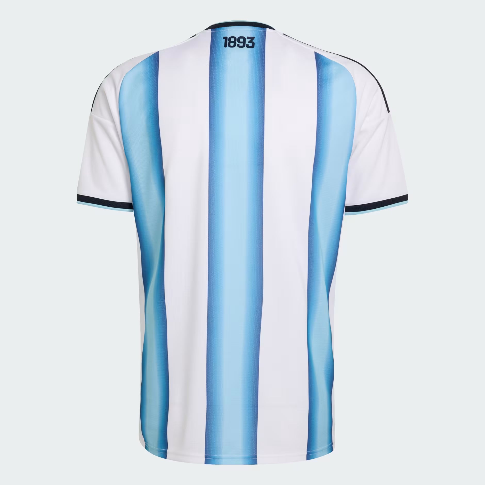Mens Argentina AFA Home 25/26 Replica Jersey