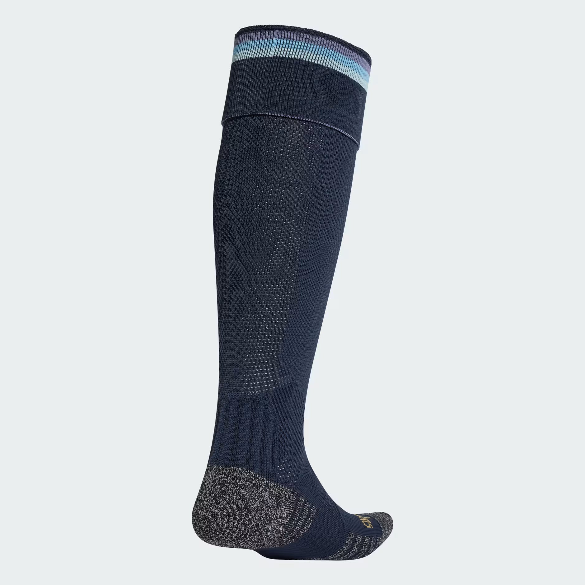 Argentina AFA Home 25/26 Replica Socks