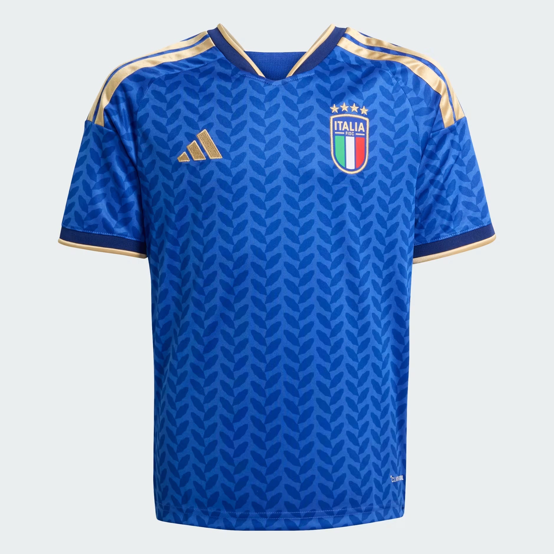Junior Italy FIGC Home 25/26 Replica Jersey