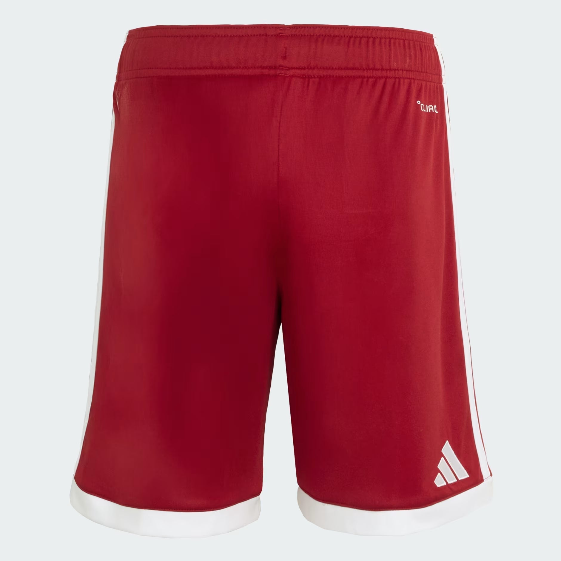 Junior United Arab Emirates UAEFA Home 25/26 Replica Short