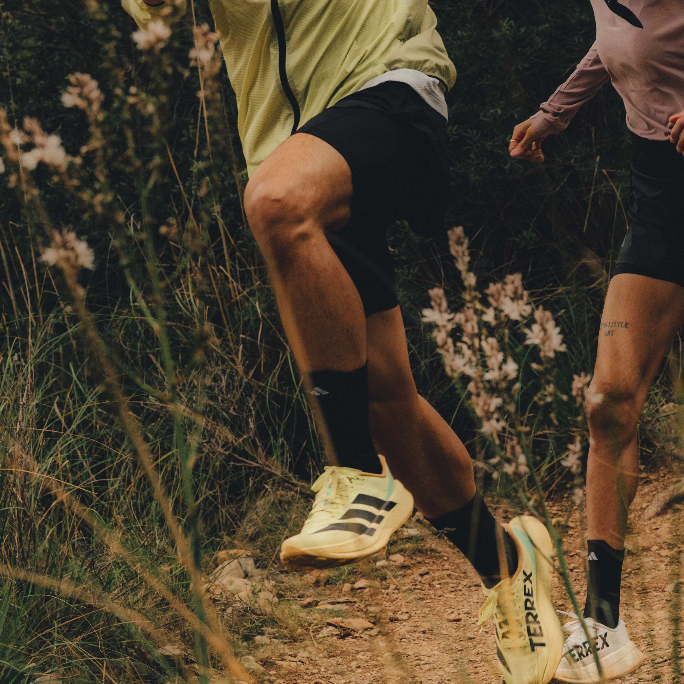 Mens Terrex Agravic Sl Trail Running Shoes