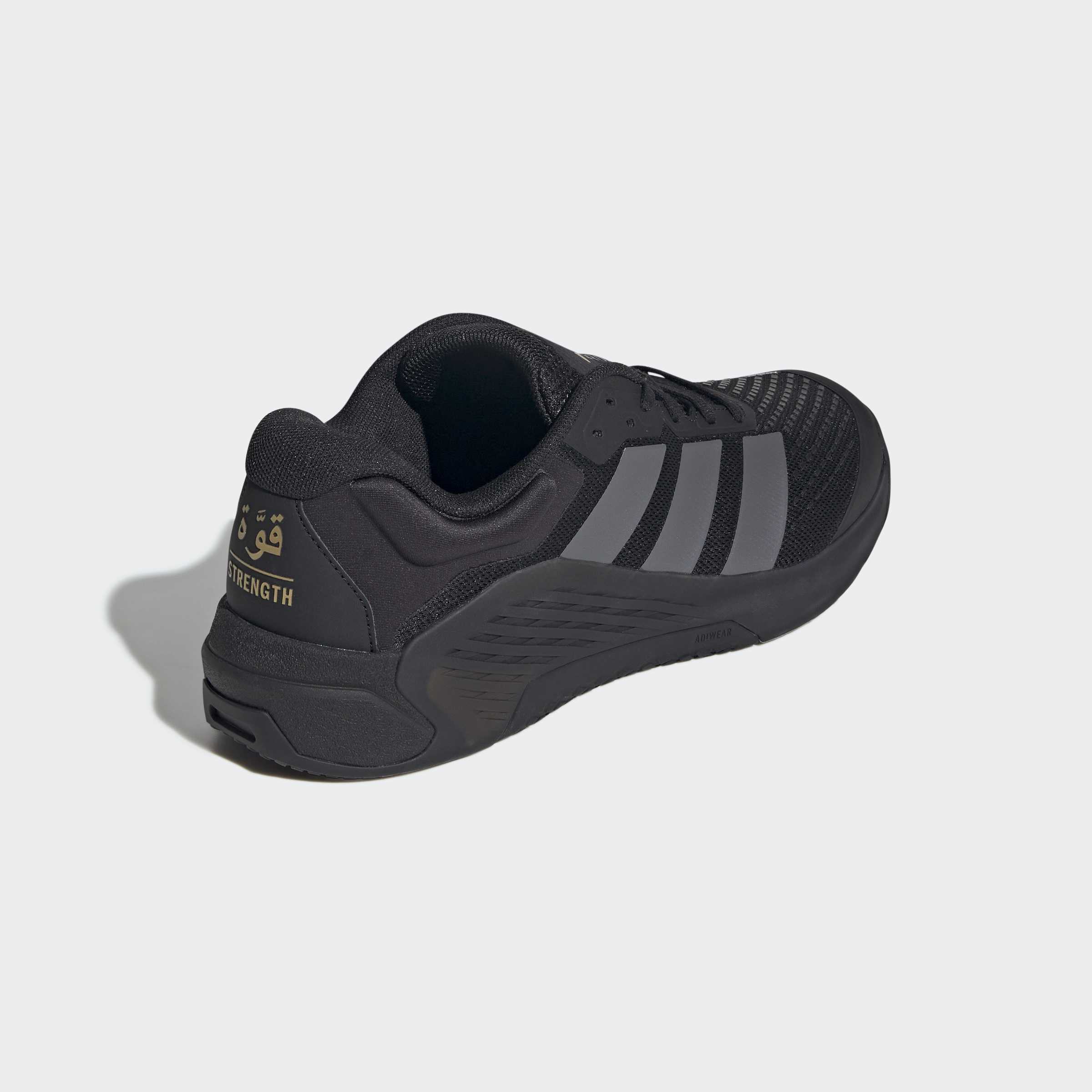 Mens Dropset 4 Power Training Shoe