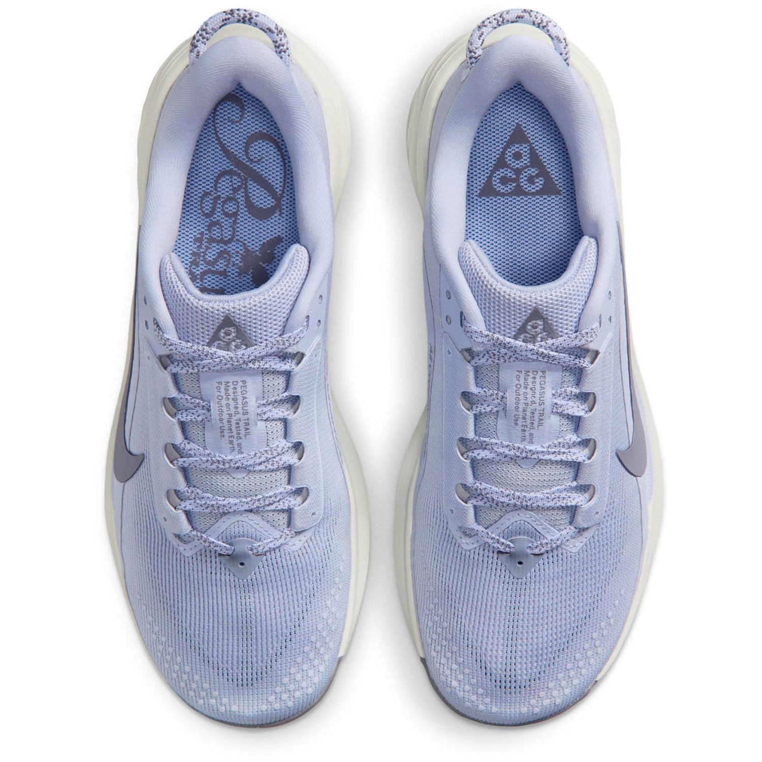 Womens ACG Pegasus Trail Running Shoe