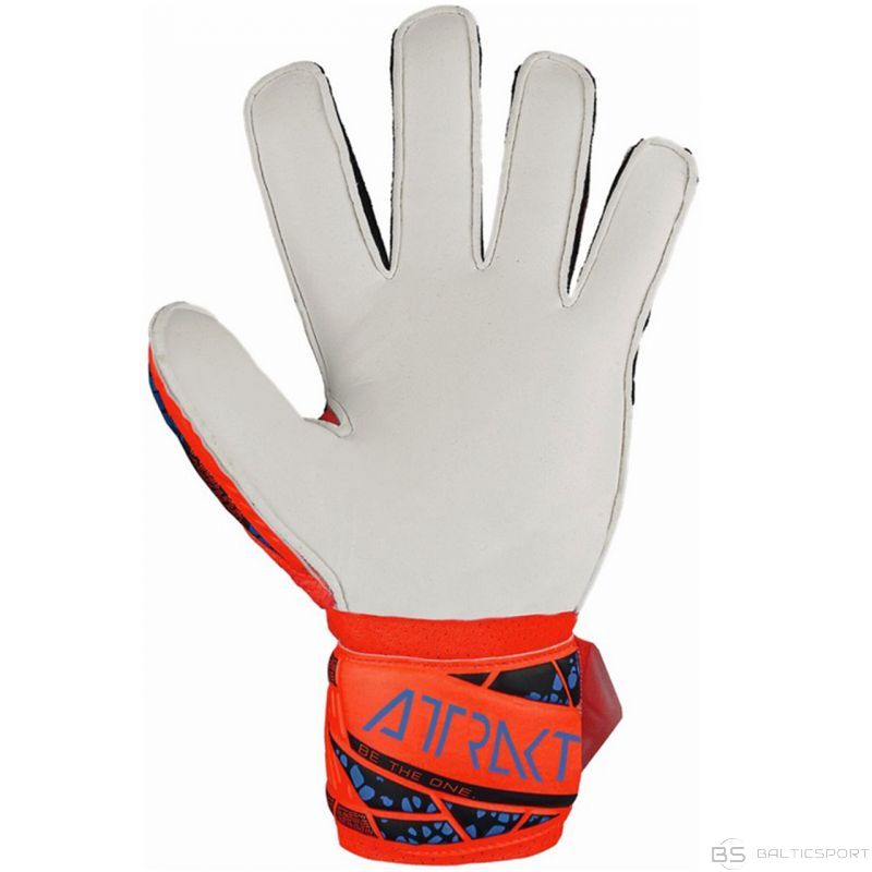 Junior Attrakt Solid Finger Support Goalkeeper Gloves