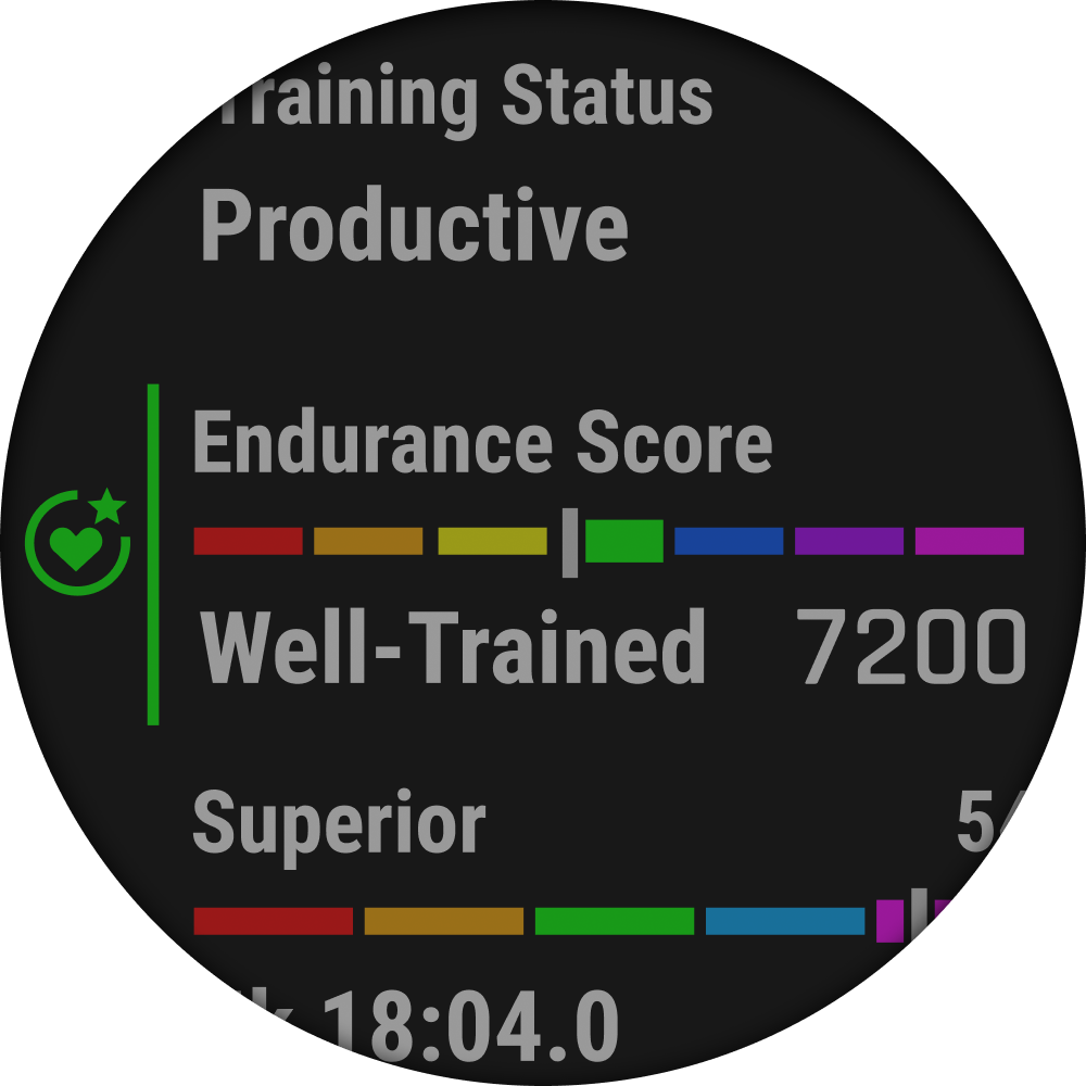 Enduro 3 Smartwatch