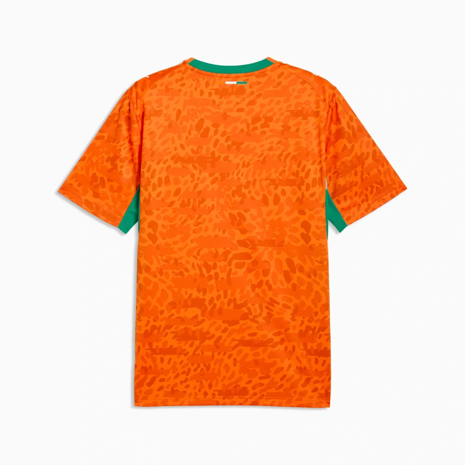 Mens Ivory Coast FIF Home 25/26 Replica Jersey