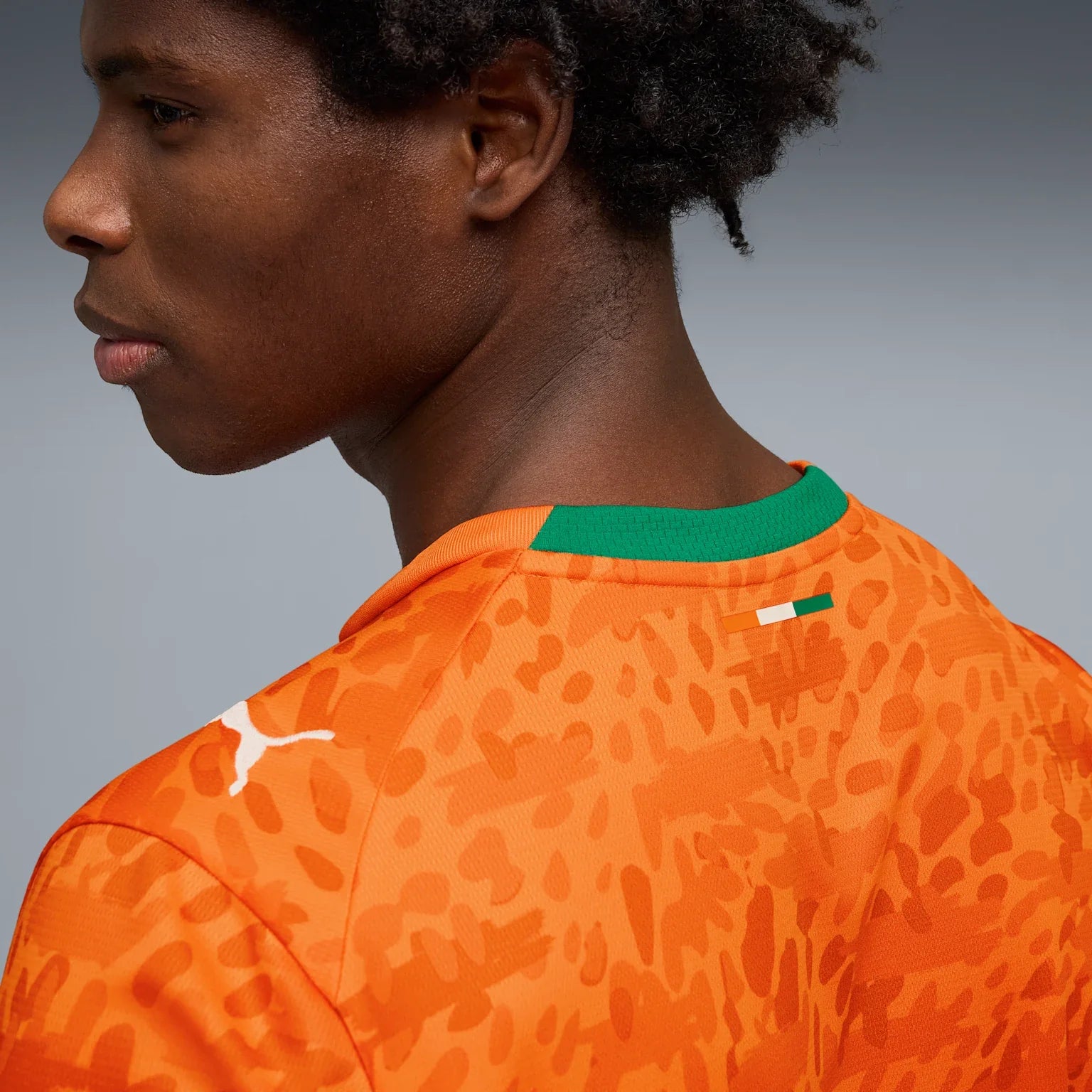 Mens Ivory Coast FIF Home 25/26 Replica Jersey