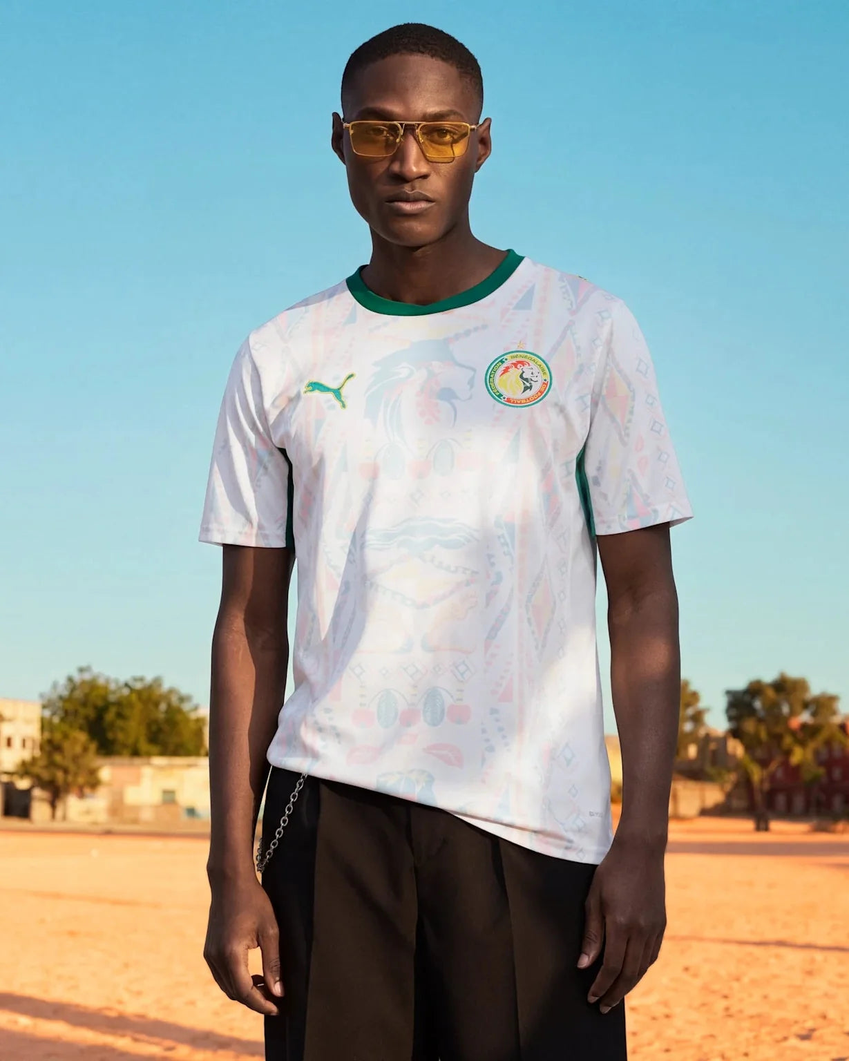 Mens Senegal FSF Home 25/26 Replica Jersey