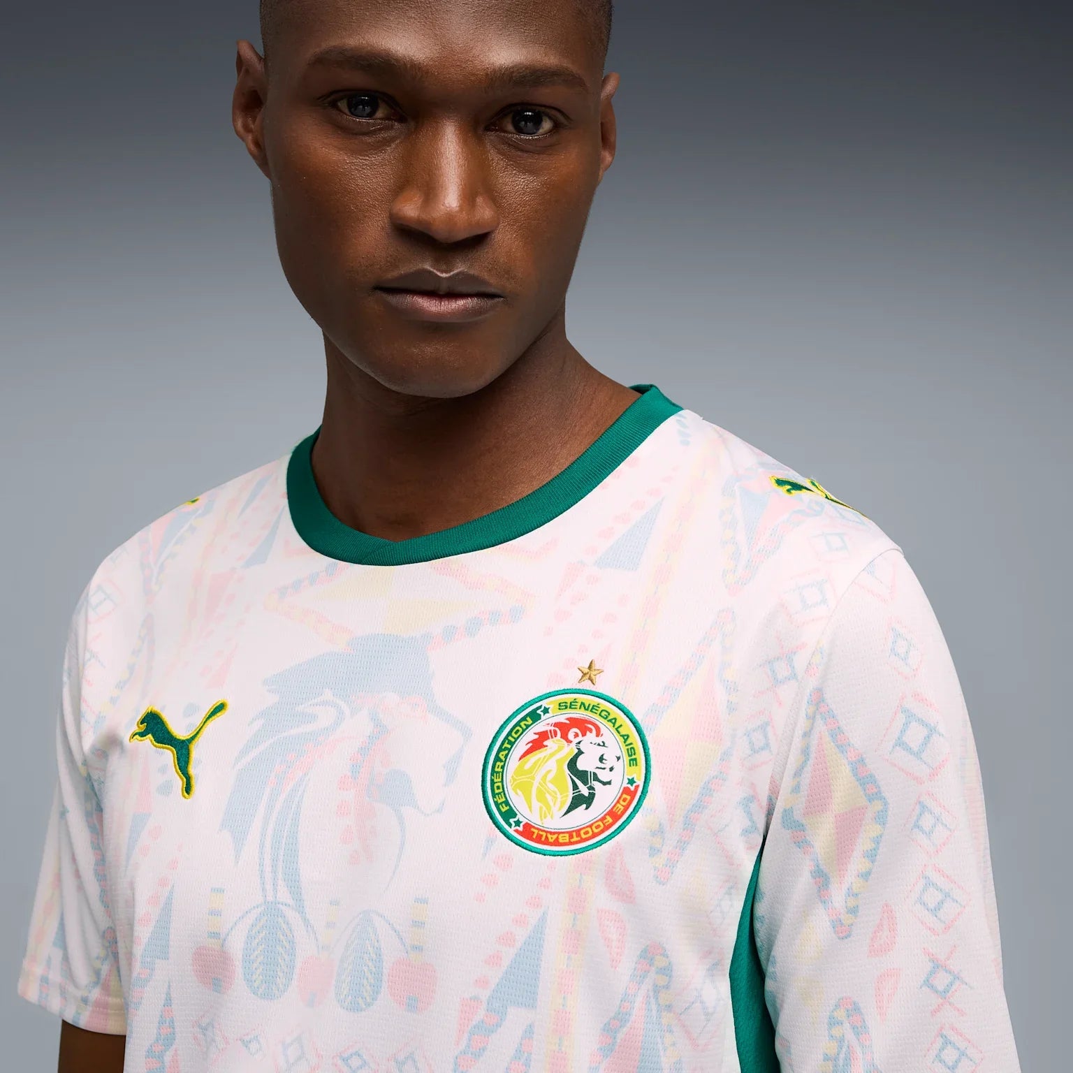 Mens Senegal FSF Home 25/26 Replica Jersey