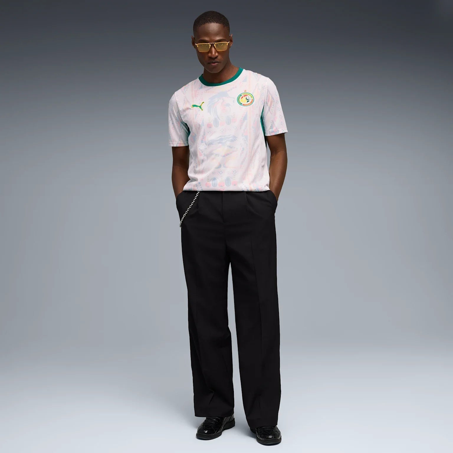 Mens Senegal FSF Home 25/26 Replica Jersey