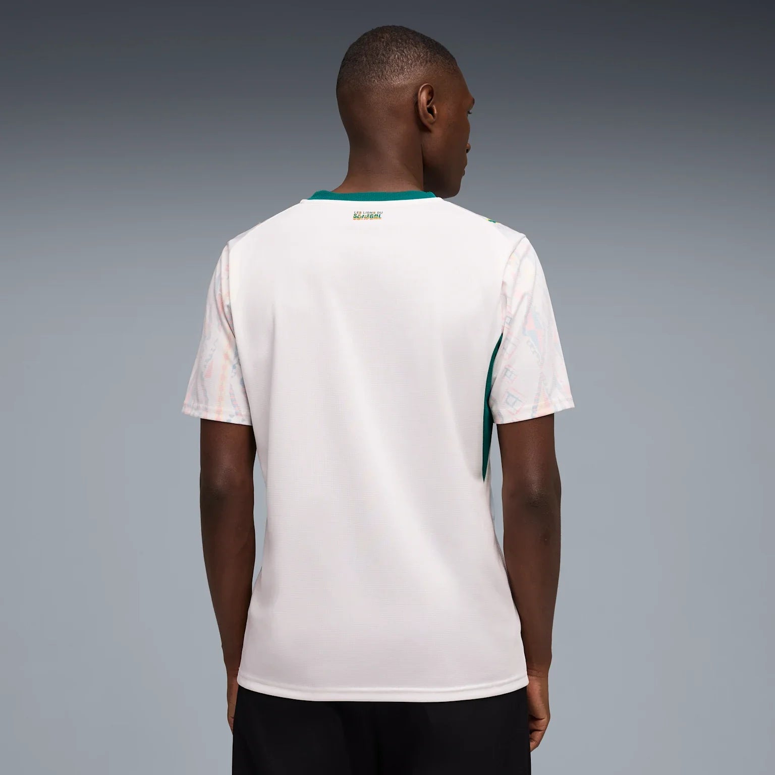 Mens Senegal FSF Home 25/26 Replica Jersey