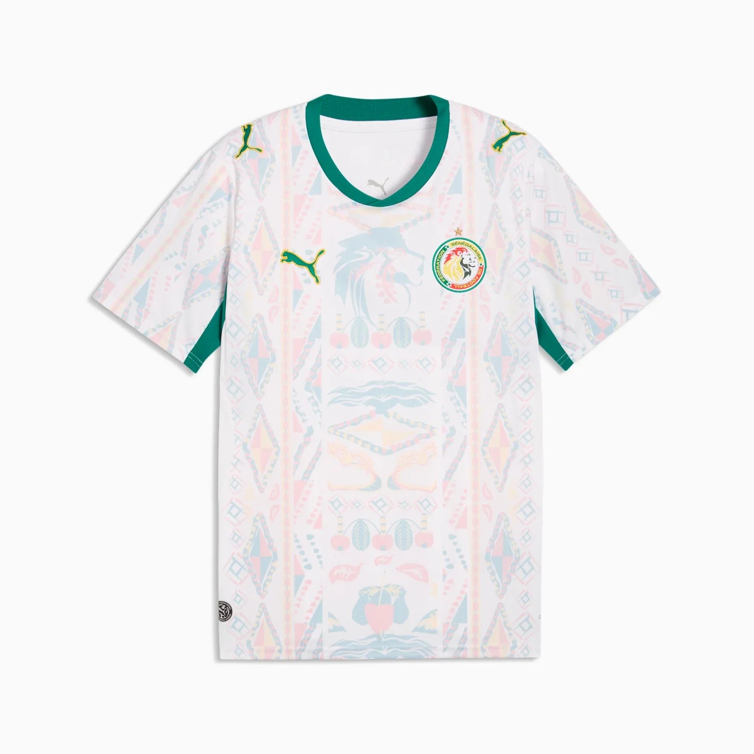 Mens Senegal FSF Home 25/26 Replica Jersey