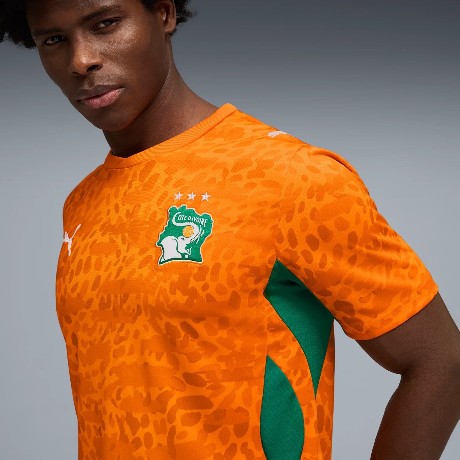 Mens Ivory Coast FIF Home 25/26 Replica Jersey