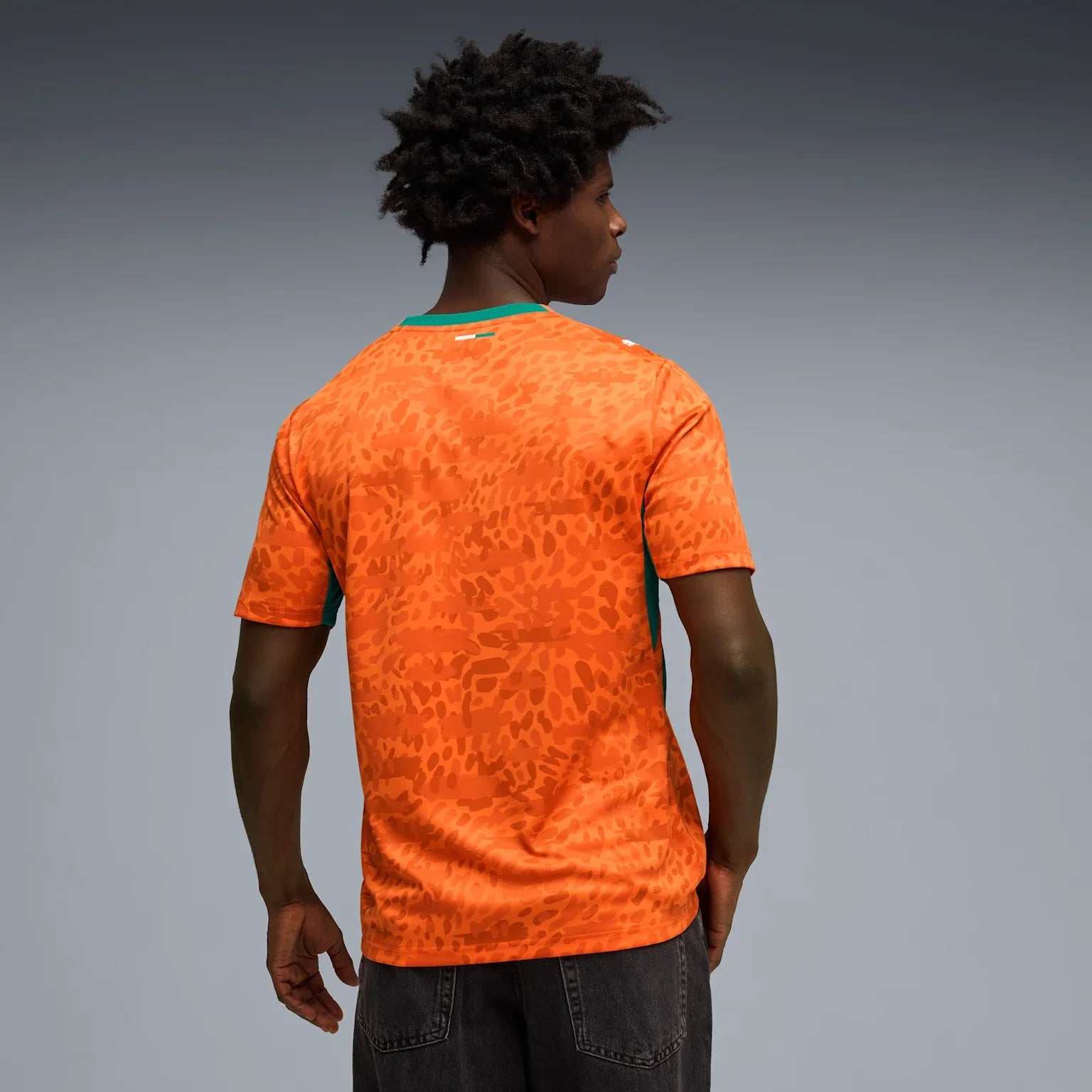 Mens Ivory Coast FIF Home 25/26 Replica Jersey