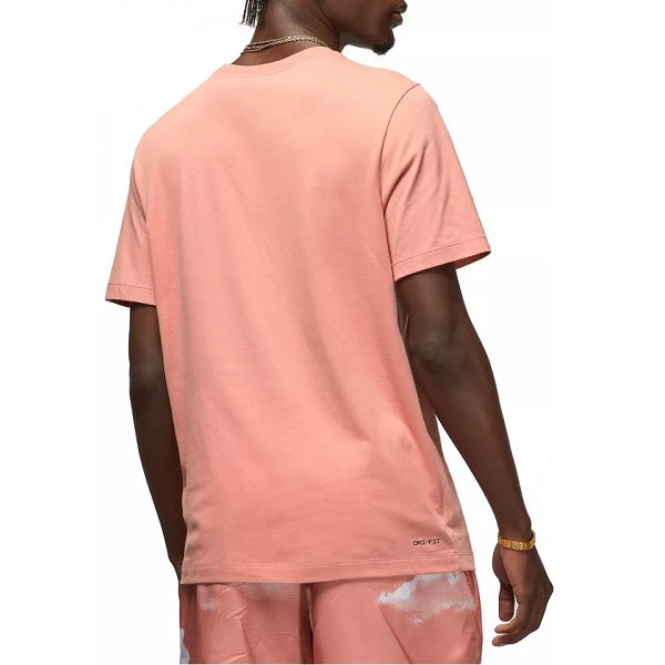 Mens Jumpman Dri-Fit Short Sleeve T-Shirt