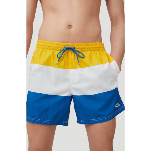 Mens Horizon Watershorts