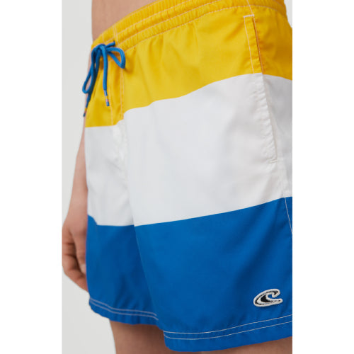 Mens Horizon Watershorts