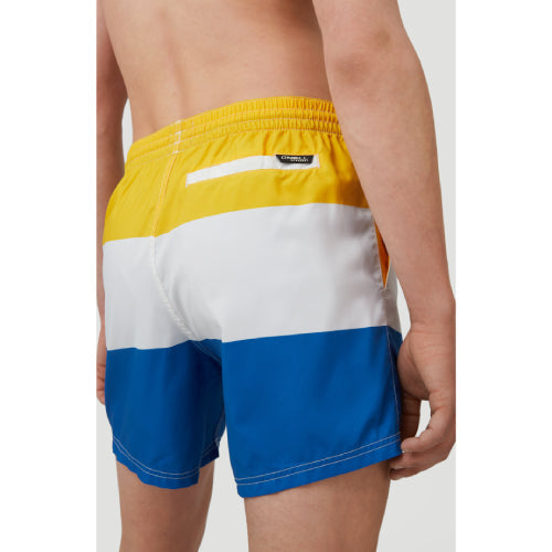 Mens Horizon Watershorts