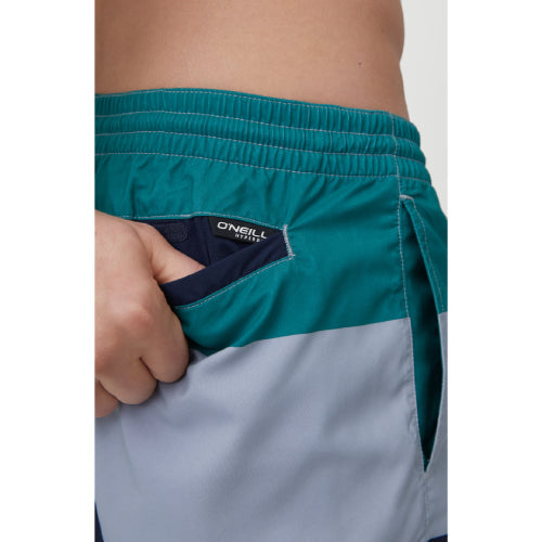 Mens Horizon Watershorts