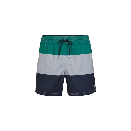 Mens Horizon Watershorts