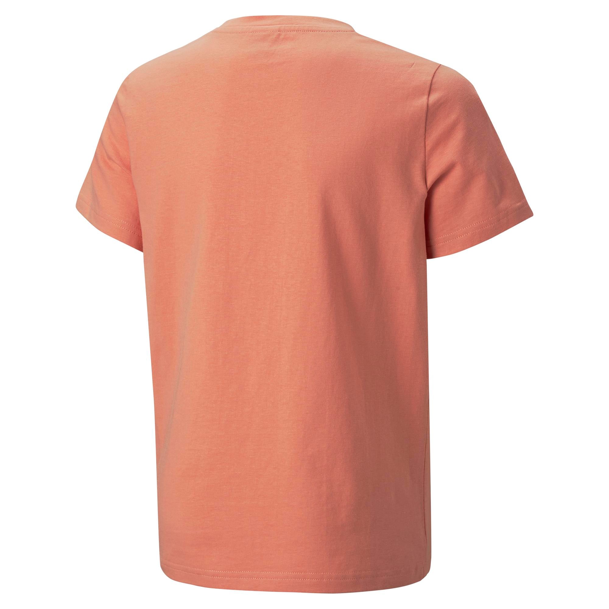 Boys Graphic Short Sleeve T-Shirt