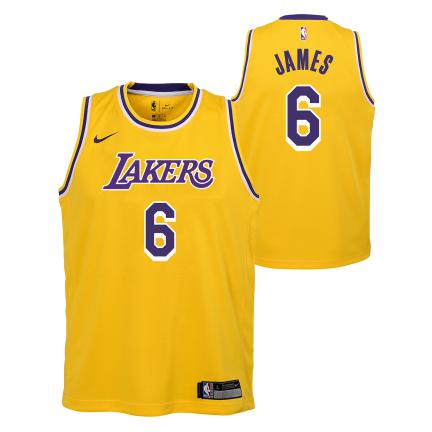 Junior LeBron James Los Angeles Lakers Swingman Icon Edition Jersey