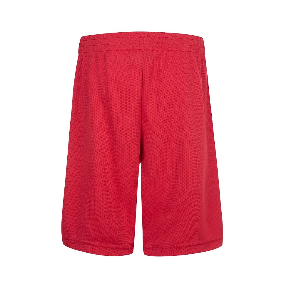 Boys Jordan Vert Mesh Short