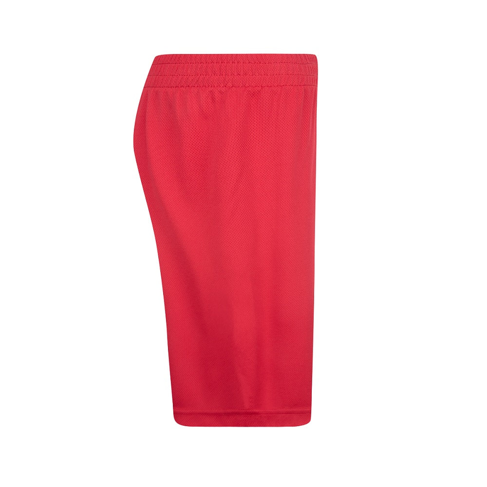 Boys Jordan Vert Mesh Short