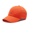 Unisex Flag Logo Adjustable Cap