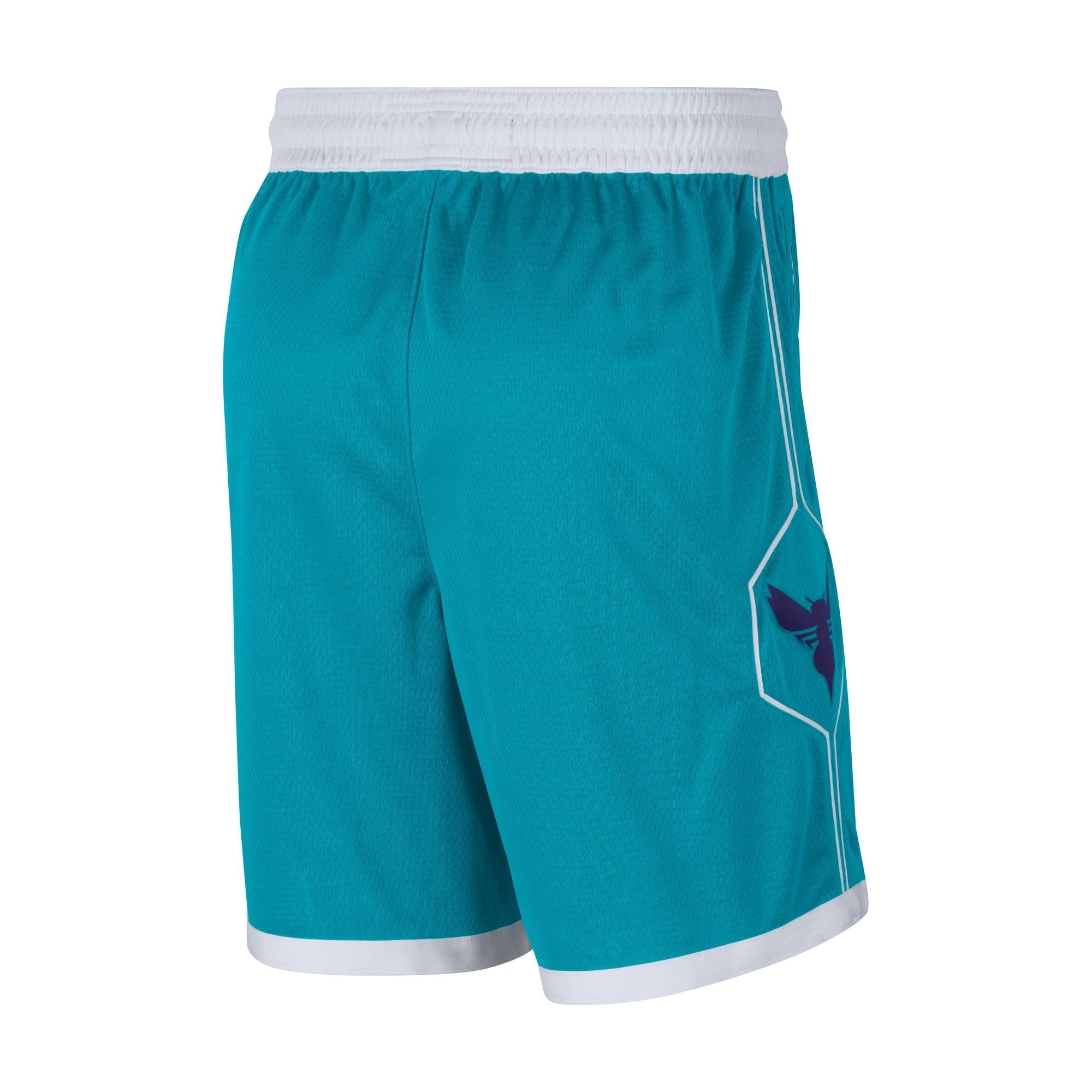 Mens Charlotte Hornets Icon Swingman Shorts