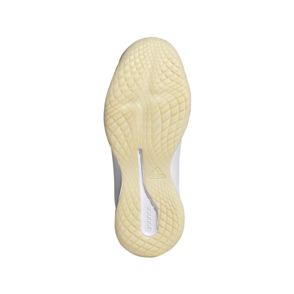 Womens Novaflight Indoor Shoe