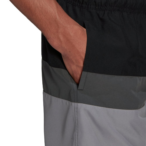 Mens Colorblock Watershorts