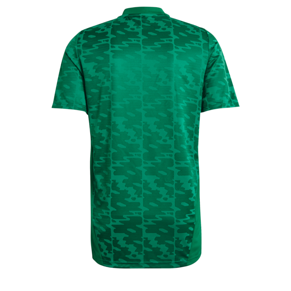 Mens Algeria Away Replica Jersey