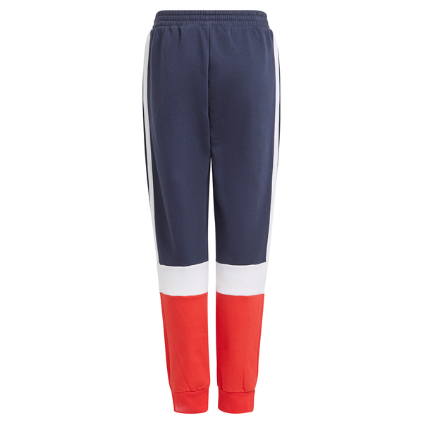 Boys Colorblock Fleece Cuff Pant