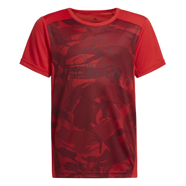 Boys Performance Graphic Short Sleeve T-Shirt